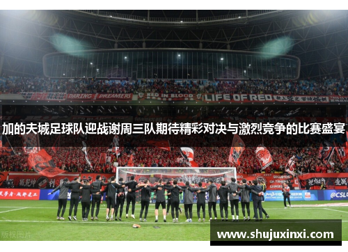 加的夫城足球队迎战谢周三队期待精彩对决与激烈竞争的比赛盛宴
