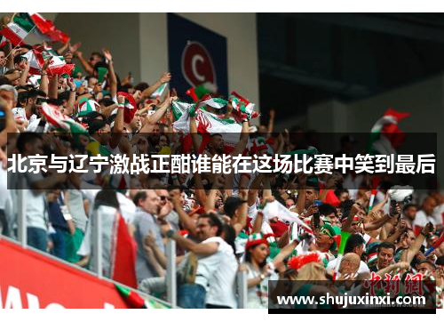 北京与辽宁激战正酣谁能在这场比赛中笑到最后
