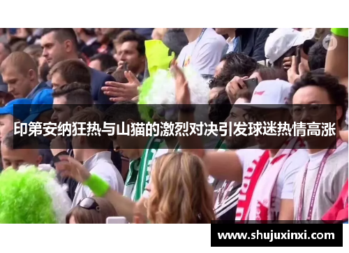 印第安纳狂热与山猫的激烈对决引发球迷热情高涨