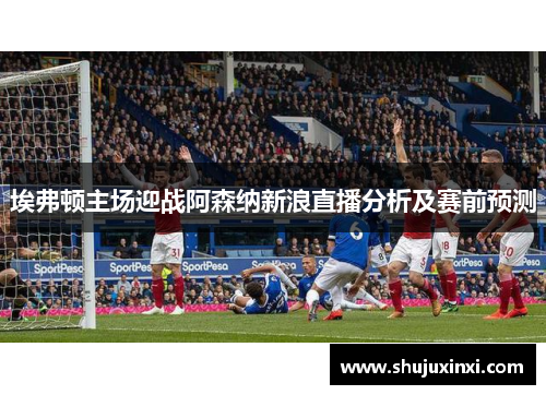 埃弗顿主场迎战阿森纳新浪直播分析及赛前预测