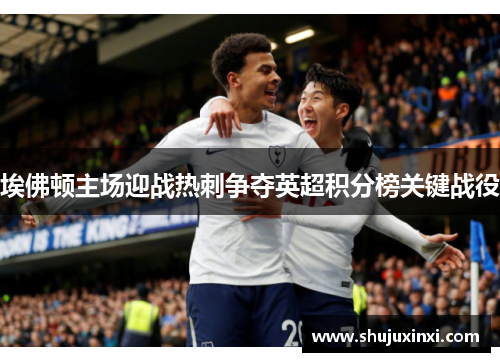 埃佛顿主场迎战热刺争夺英超积分榜关键战役