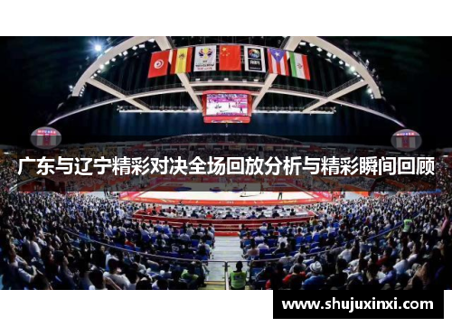 广东与辽宁精彩对决全场回放分析与精彩瞬间回顾