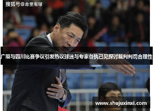 广厦与四川比赛争议引发热议球迷与专家各执己见探讨裁判判罚合理性
