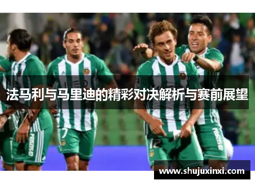 法马利与马里迪的精彩对决解析与赛前展望